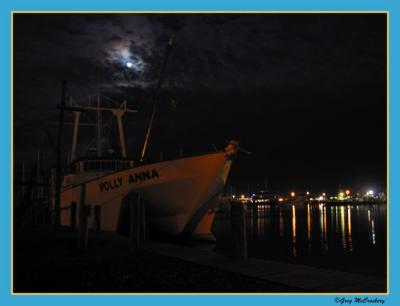 Polly Anna at Rest.jpg