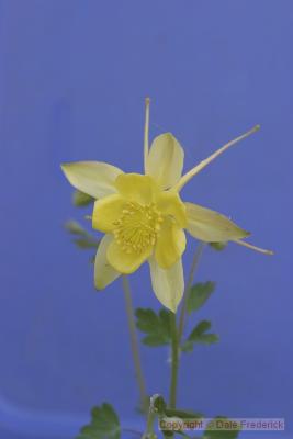 CRW_0818.jpg