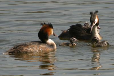 IMG_4828.jpg