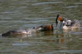 IMG_4822.JPG