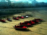 Red Boats