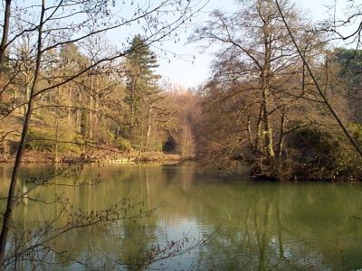 Wakehurst Place, Sussex