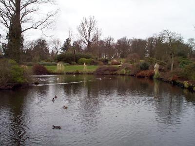 Wakehurst Place, Sussex