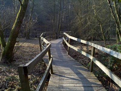 Wakehurst Place, Sussex