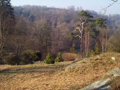 Wakehurst Place, Sussex