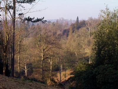 Wakehurst Place, Sussex