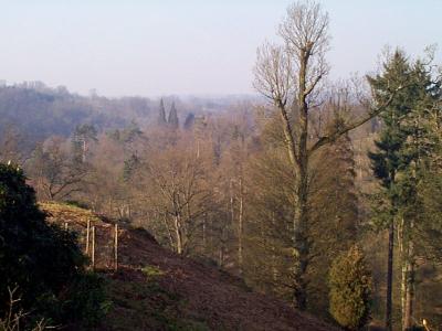 Wakehurst Place, Sussex