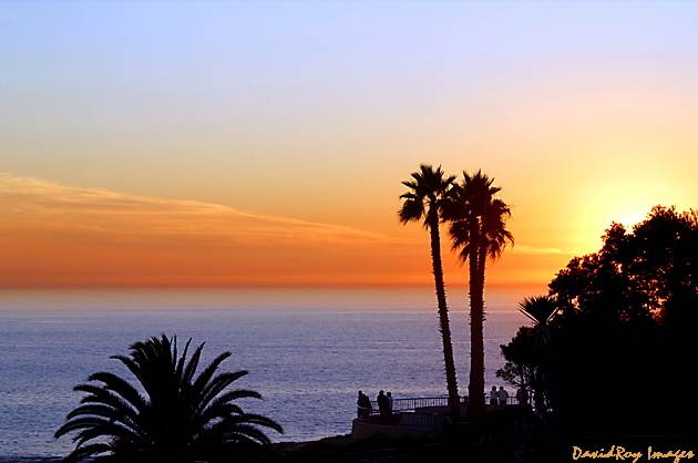 Sunset and Palms 1