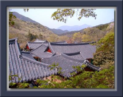 Temple Roof Lines