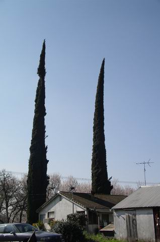 Rotation of P2211166.JPG
