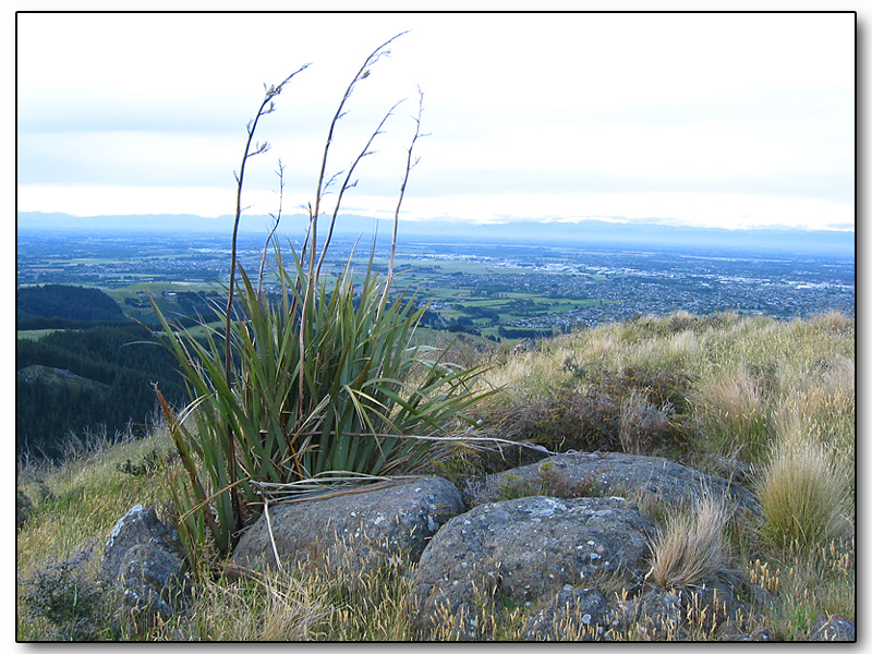 Christchurch from Mount Pleasant