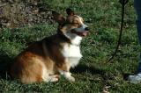 pbds20041127_0103.jpg