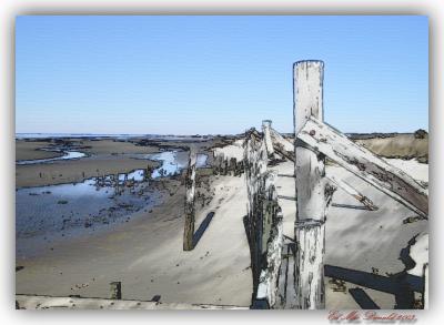 BeachFenceCardiff.jpg