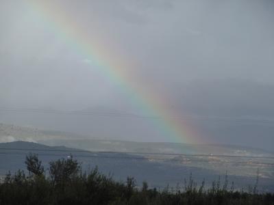 Rainbow after the rain!