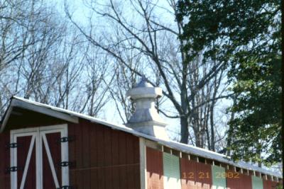 How would this little decoration look perched upon the garage roof?
