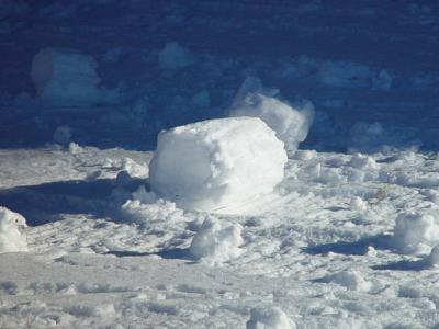 snowrollo2543.jpg