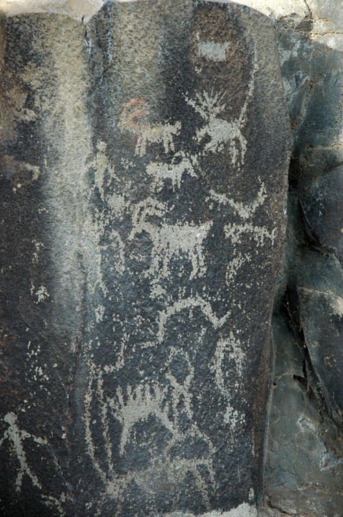 Animal Petroglyphs