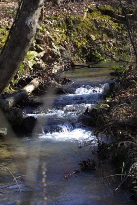 Oak Mountain