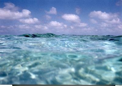 u22/fatyellowlab/medium/36852455.scan_of_snorkeling.jpg