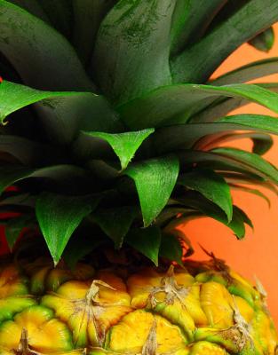 Pineapple