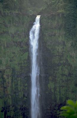 02-33 Akaka Falls closeup