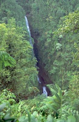 u22/goislands/medium/2448450.068Hawaii.jpg