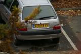 1/80s f/6.3 at 300.0mm iso200