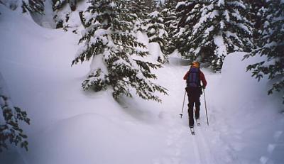 fwbttascent