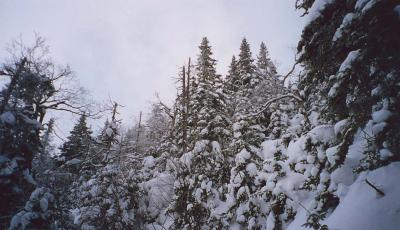 belowboltonsummit