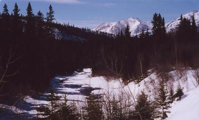montalbertsudspur