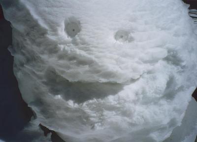 snowface