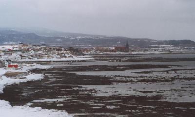 stannedemont