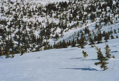 farglades