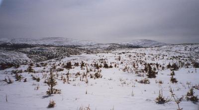 mcgerrigleplateau