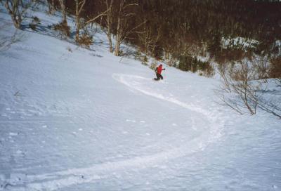 perfectline