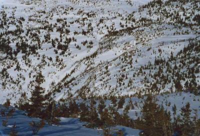 cascadeheadwaters