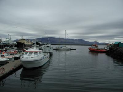 Harbour of Rejkjavik