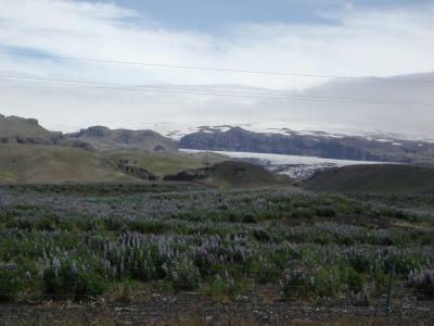 Glacier Mountain Views
