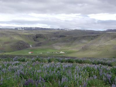 Glacier Mountain Views