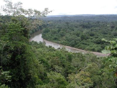 Dschungel-Fhrung - Tier -und Pflanzenwelt