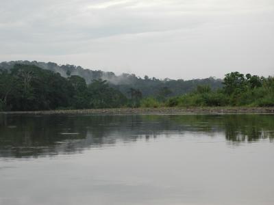 Fahrt aus dem Dschungel, auf dem Fluss