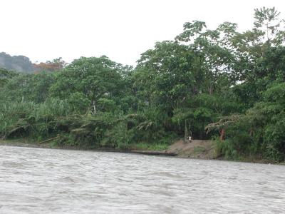 Fahrt aus dem Dschungel, auf dem Fluss