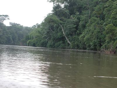 Fahrt aus dem Dschungel, auf dem Fluss