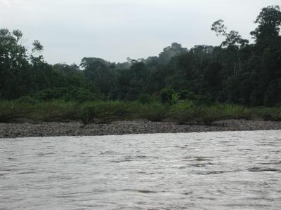 Fahrt aus dem Dschungel, auf dem Fluss