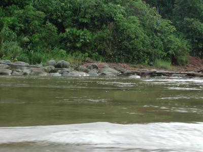 Fahrt aus dem Dschungel, auf dem Fluss