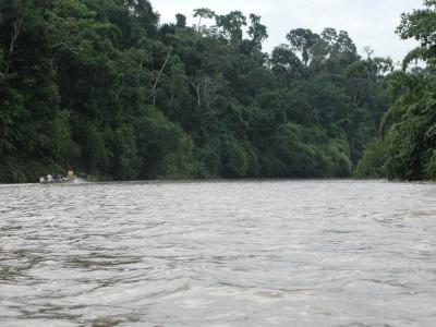 Fahrt aus dem Dschungel, auf dem Fluss