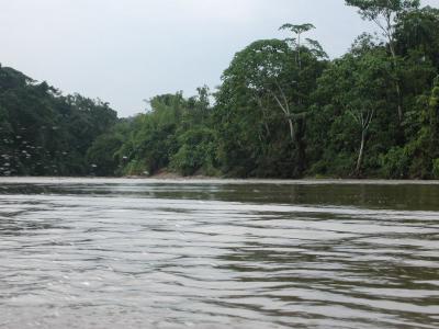 Fahrt aus dem Dschungel, auf dem Fluss