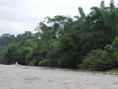 Fahrt aus dem Dschungel, auf dem Fluss