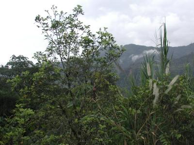 Blick ins Tal