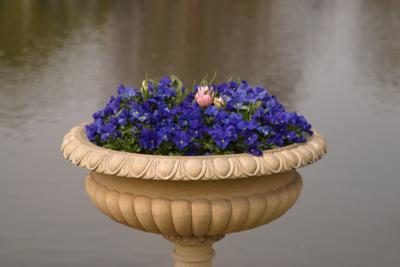 flower-bowl.jpg